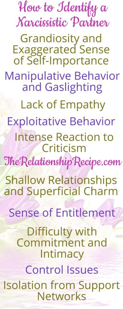How to Identify a Narcissistic Partner Infographic