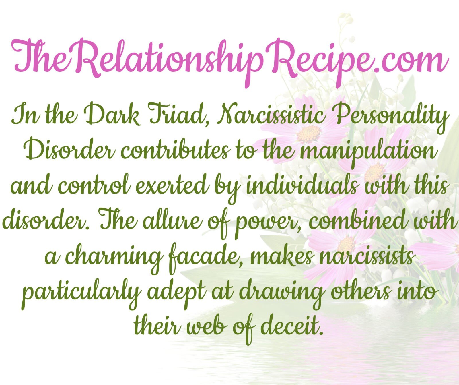 Narcissism, narcissistic personality disorder, and the Dark Triad Meme The Relationship Recipe